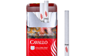 Cavallo