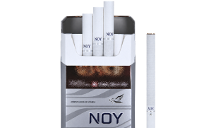 Noy