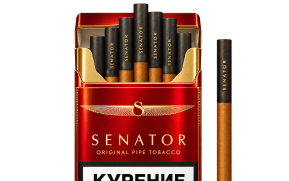 Senator