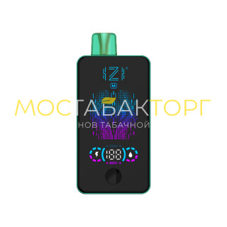 IZI MODEL M 22000 - Double Ice Mint (Мята с двойным льдом)