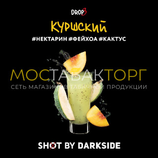 Darkside Shot - Куршский Вайб (Нектарин, фейхоа, кактус) 30 гр