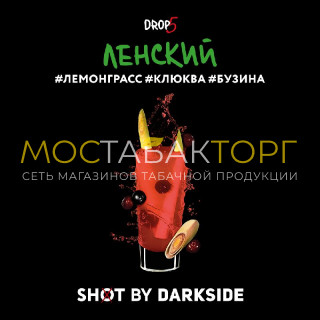 Darkside Shot - Ленский Трип (Лемонграсс, клюква, бузина) 30 гр