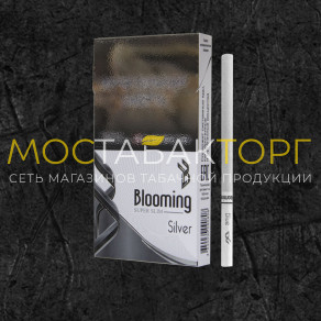 Блюминг Сильвер (Blooming Silver)
