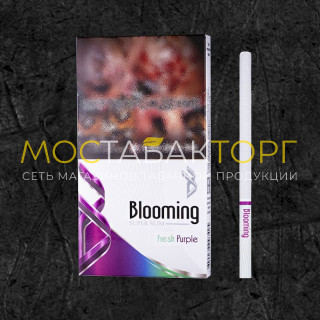 Блюминг Фреш Перпл (Blooming Fresh Purple)
