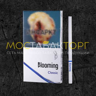 Блюминг Классик (Blooming Classic)