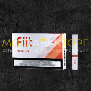 Stick Fiit Spring (Табачный бленд с ментолом и фруктовыми нотами абрикоса)